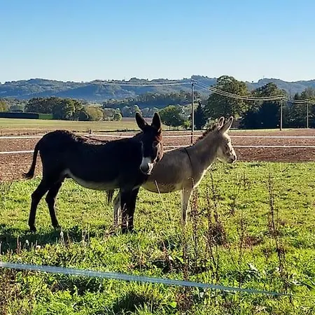 Des Racines Et Des Reves *