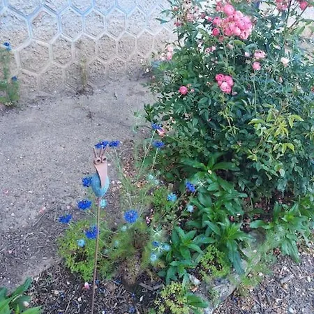 Dom wakacyjny Des Racines Et Des Reves *