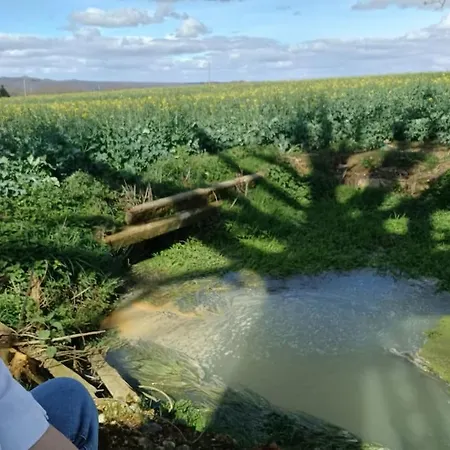 Dom wakacyjny Des Racines Et Des Reves *