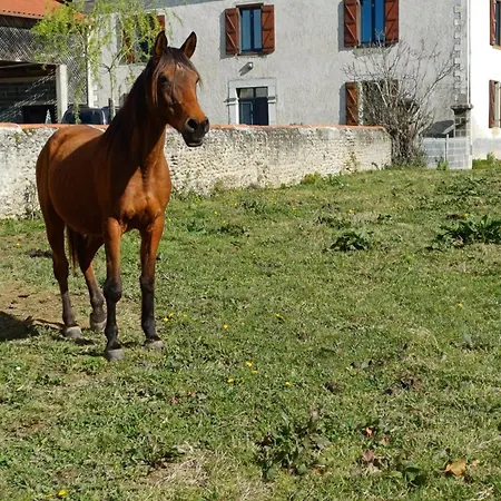 Des Racines Et Des Reves Vidou