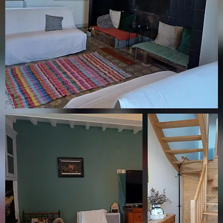 Des Racines Et Des Reves *