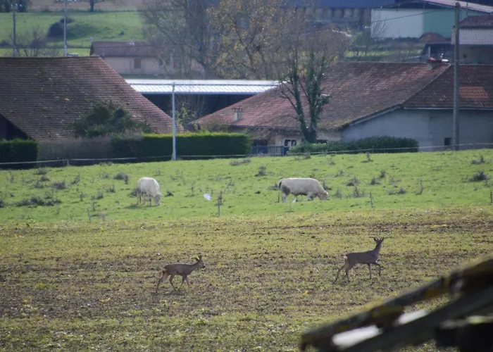 Σπίτι διακοπών Des Racines Et Des Reves Vidou
