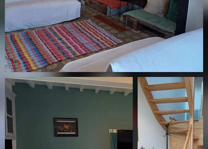 Des Racines Et Des Reves *